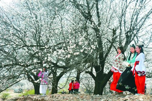 24500足球实时数据仪表盘